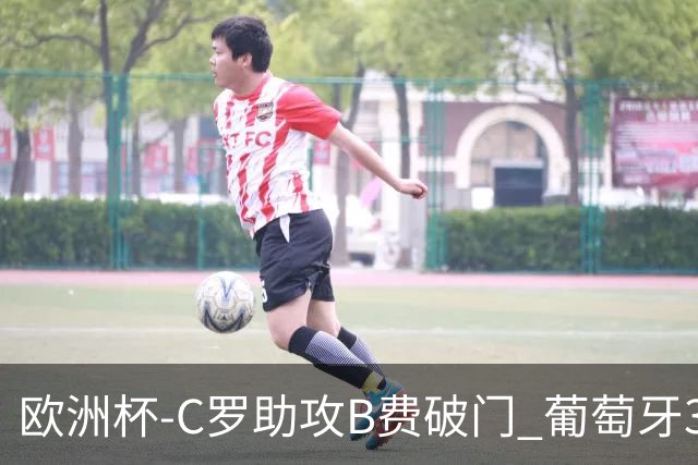 欧洲杯-C罗助攻B费破门 葡萄牙3-0土耳其